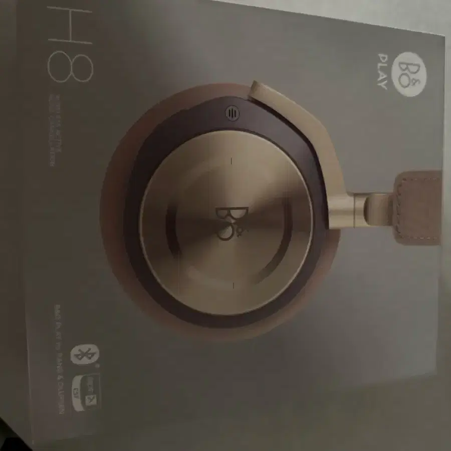 Beoplay H8i