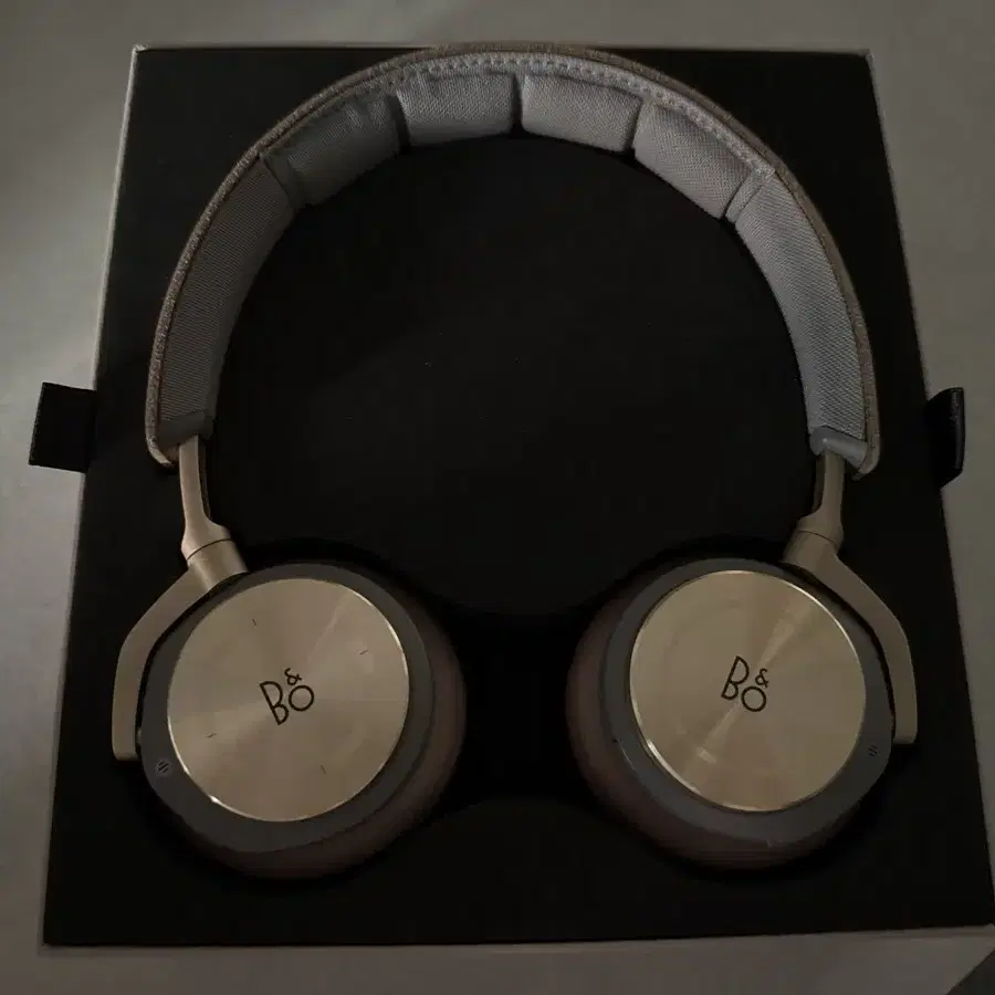 Beoplay H8i