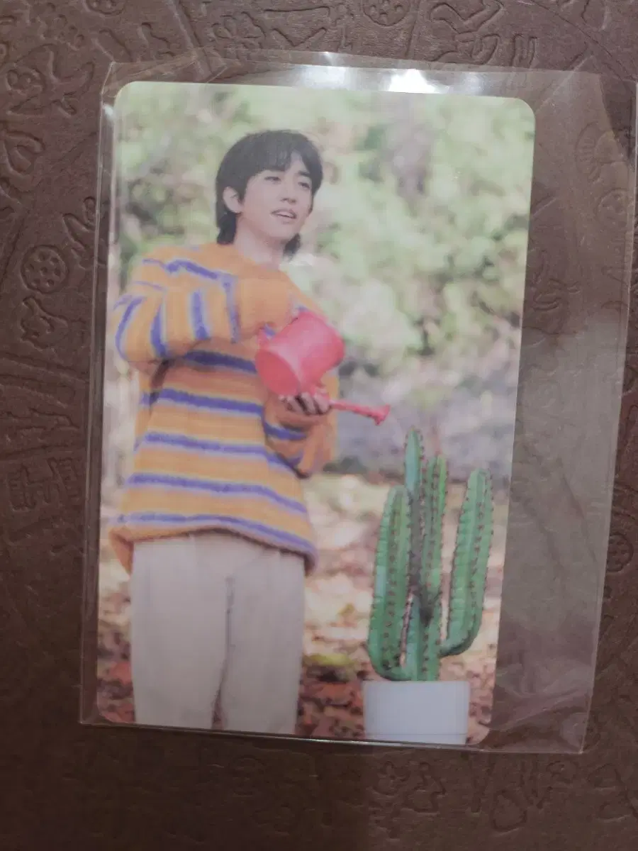 Lee Seung Yoon Photocard Even if it becomes a ruin