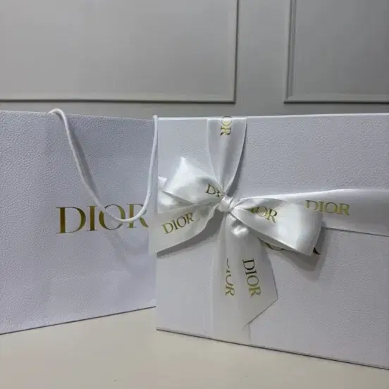 디올 북토트백 레더 매크로 까나쥬/Dior Book Tote 미니 백/디