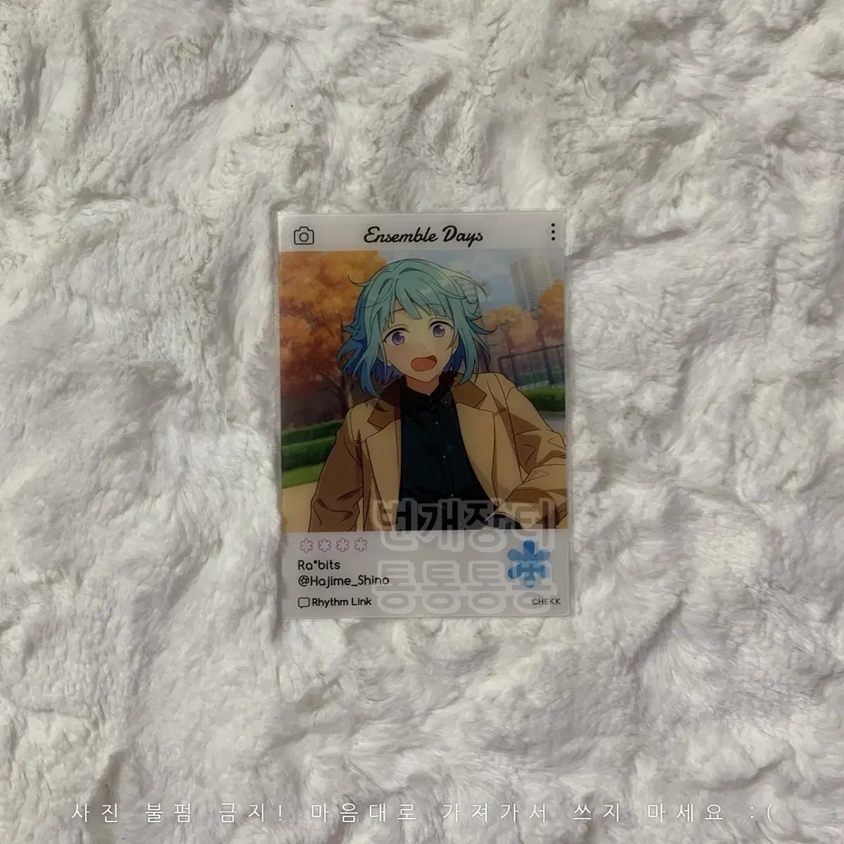 Angsta Emoka 2nd Edition Shino Hajime Rabbitzu!! Clear Card Kard