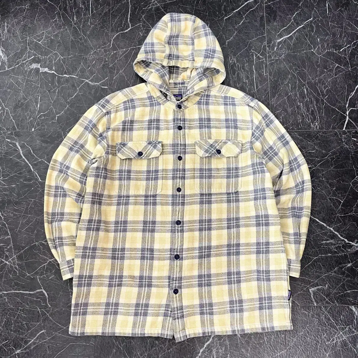 Patagonia Check Hoodie