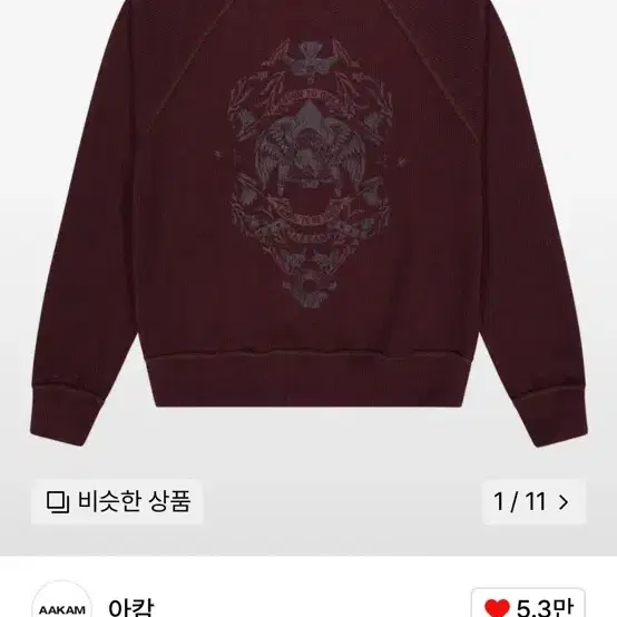 아캄 니트 Eagle Printed Knit (Wine)