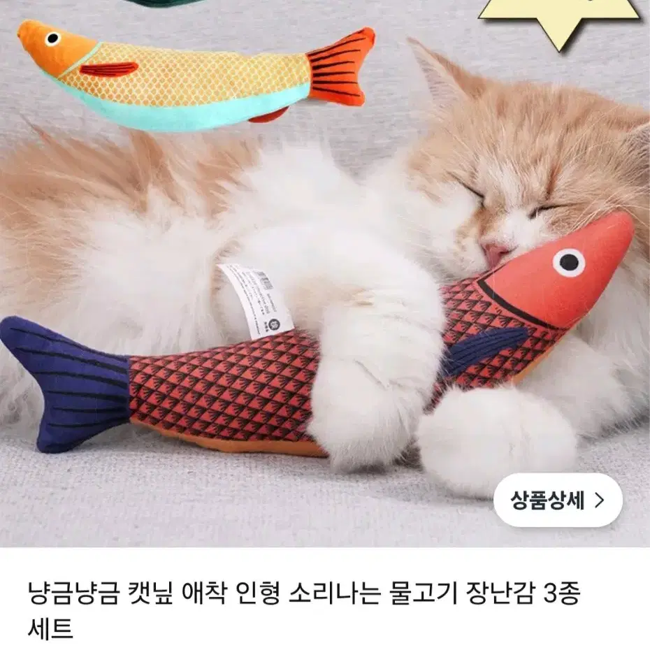 고양이 장난감 세트