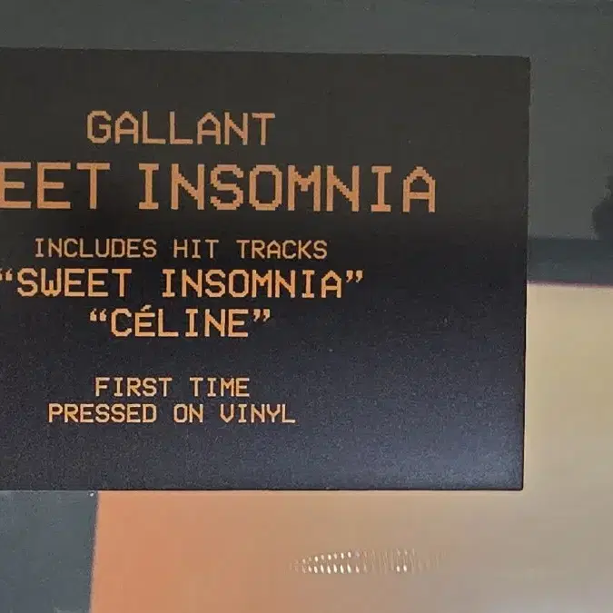 갈란트 gallant SWEET INSOMNIA Lp (미개봉) 블랙