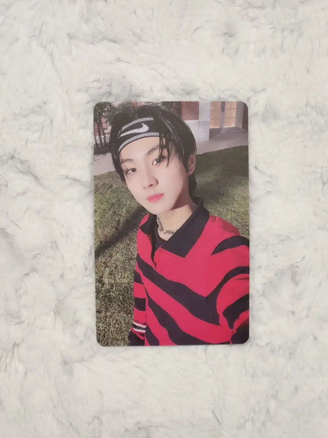 Enhypen jungwon photocard dilemma ld yang jungwon jungwon photocard