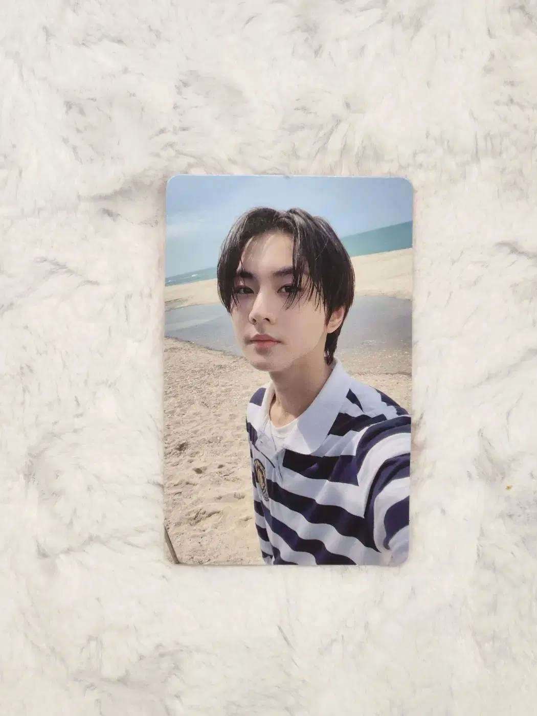 Enhypen jungwon photocard Dilemma weverse pre-order benefit yang jungwon jungwon Photocard