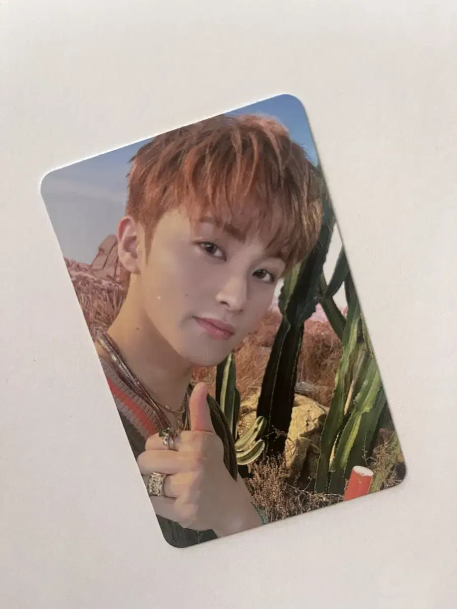 piggydog walk mark photocard