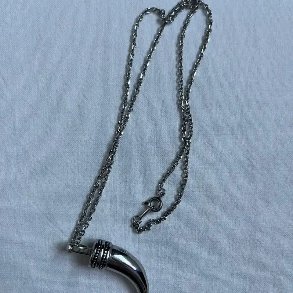 Horn Necklace