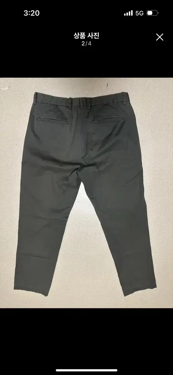 Terry Cotton Pants Cheap