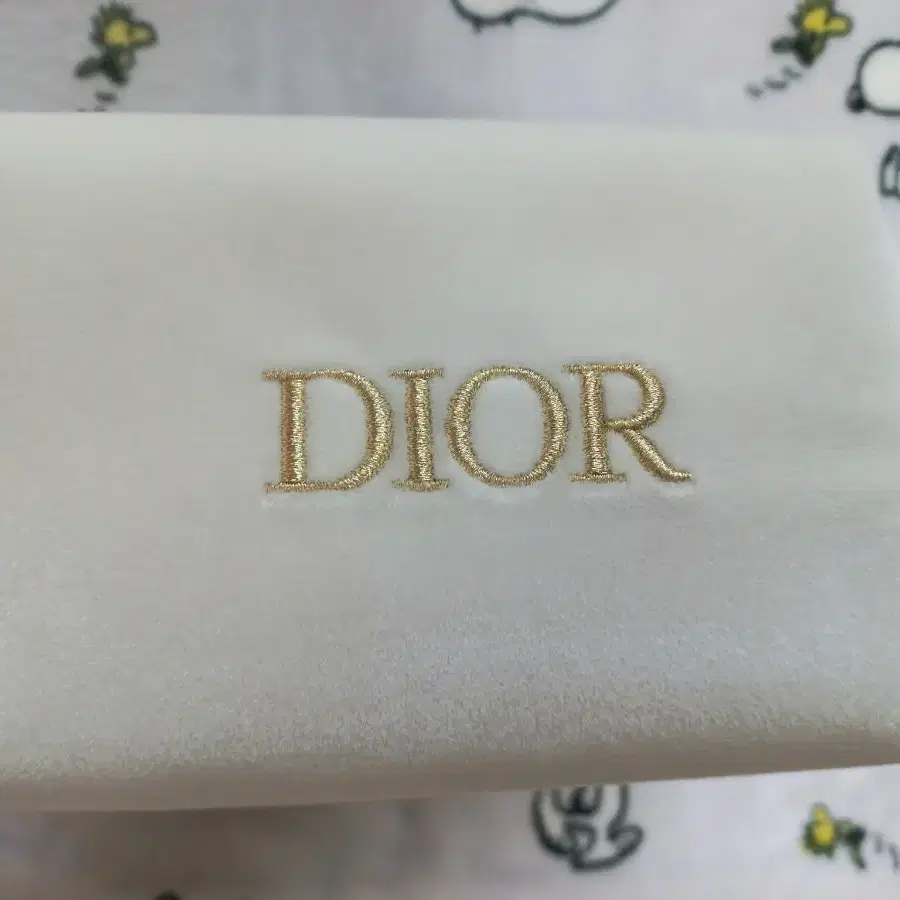 디올 Dior 파우치