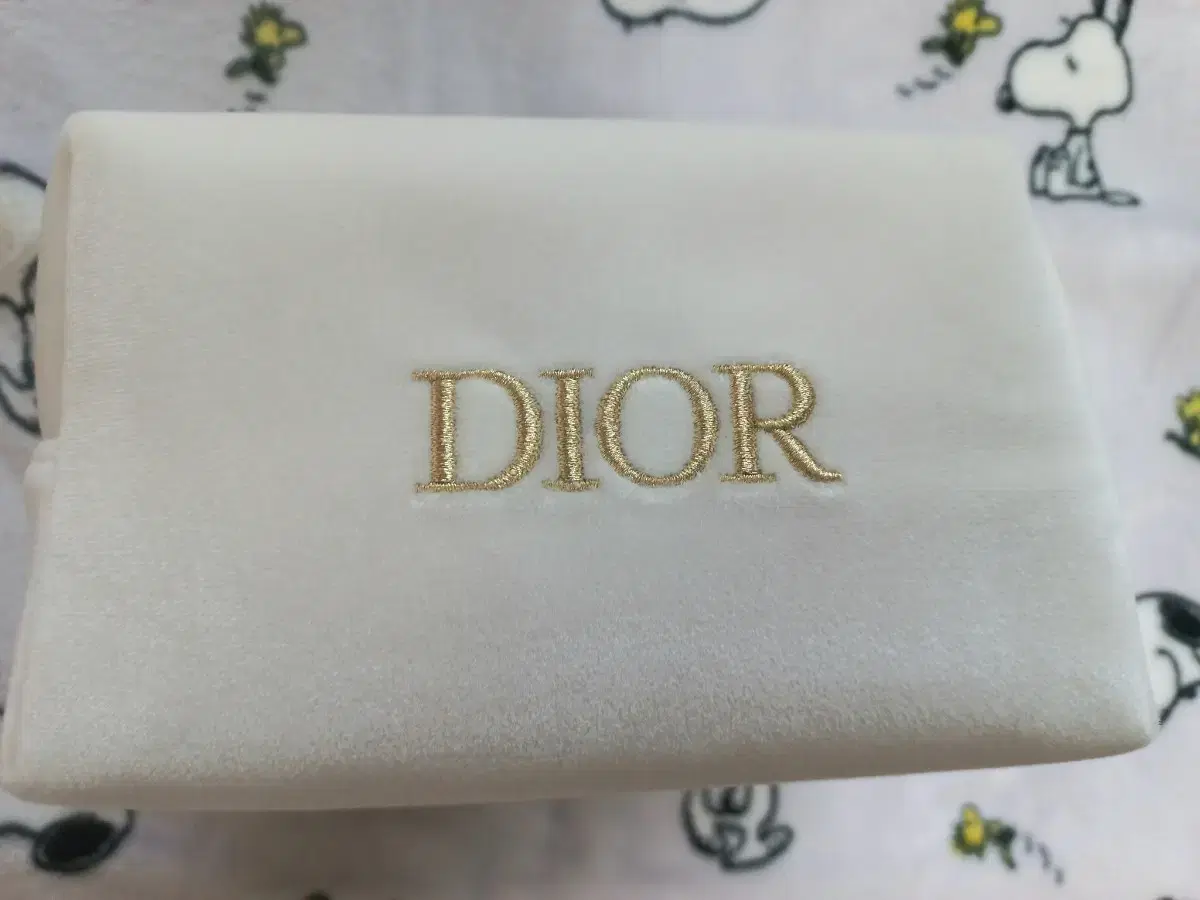 디올 Dior 파우치