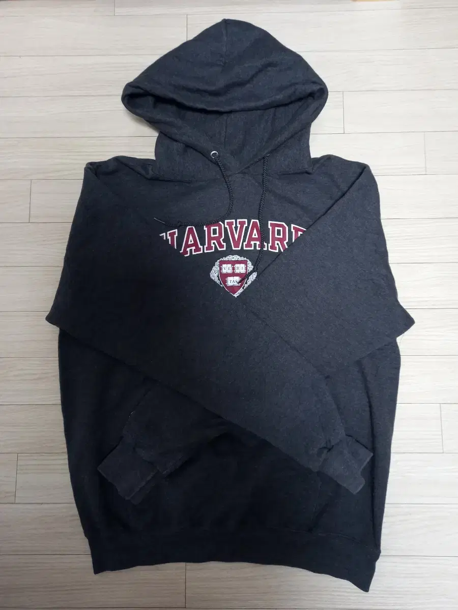 ChampionAdvanced Harvard Hoodie 95-100