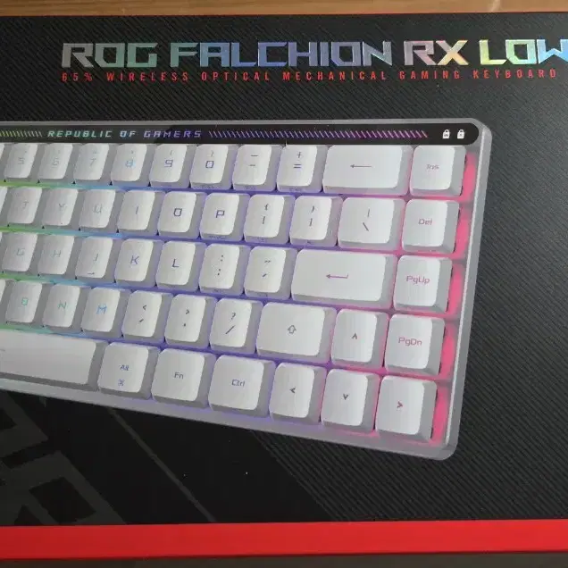 Asus Rog Falchion RX LP 청축 키보드