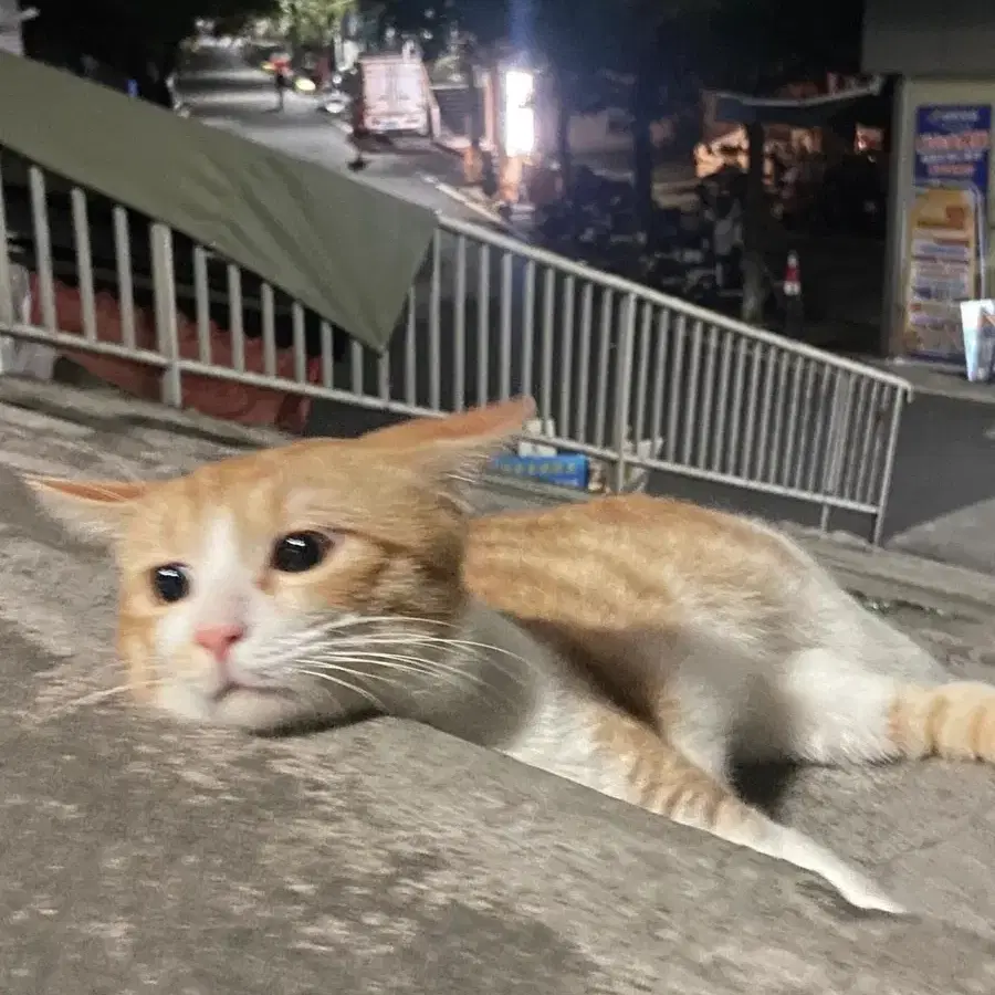 테그호이어 블루핸즈 크로노