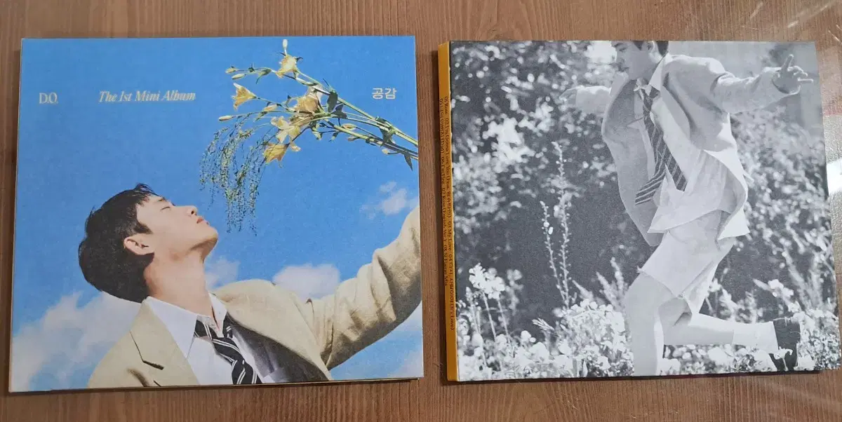 Esso d.o. do kyungsoo Solo Mini-1st Edition Empathy digipack Bulk