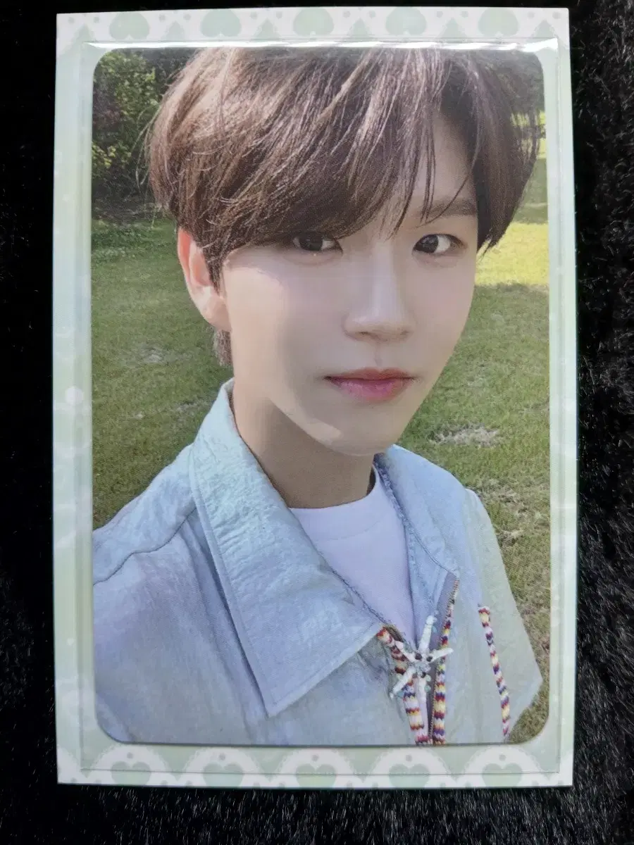 NCTWish Jaehee Songbird albumSell photocards