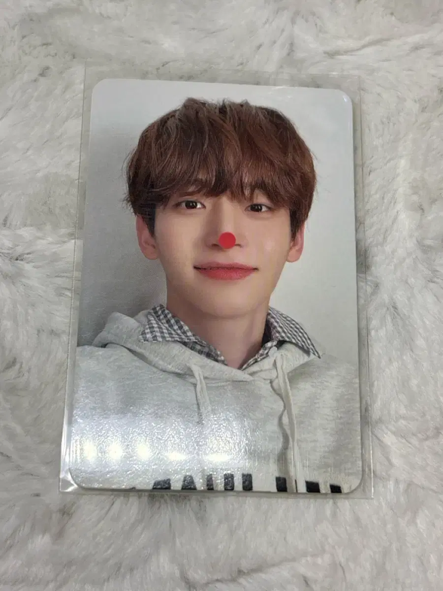 Cravity jungmo photocard