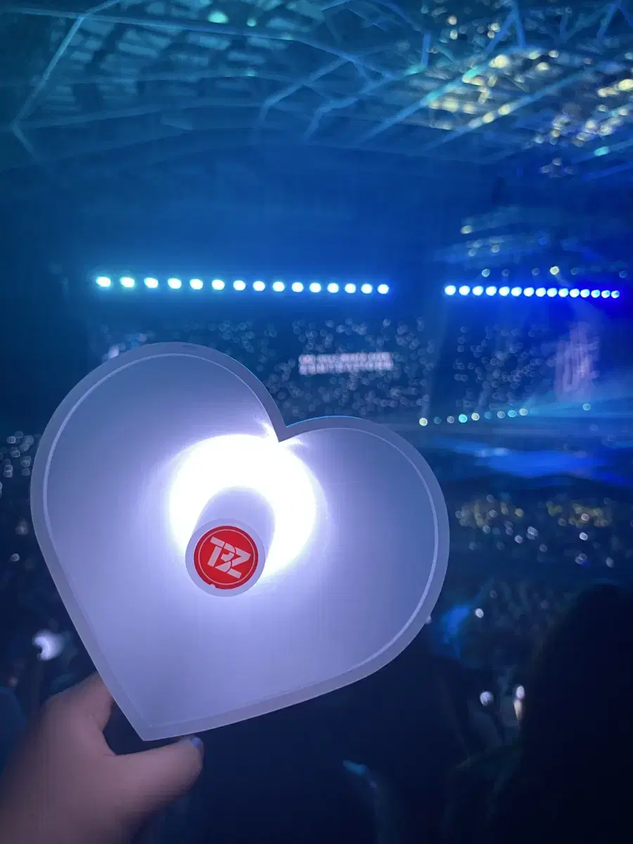 The Boyz lightstick Heartsong WTS