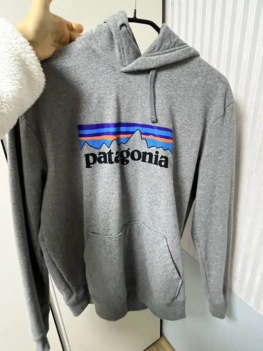 Quick sale)Patagonia Hoodiem