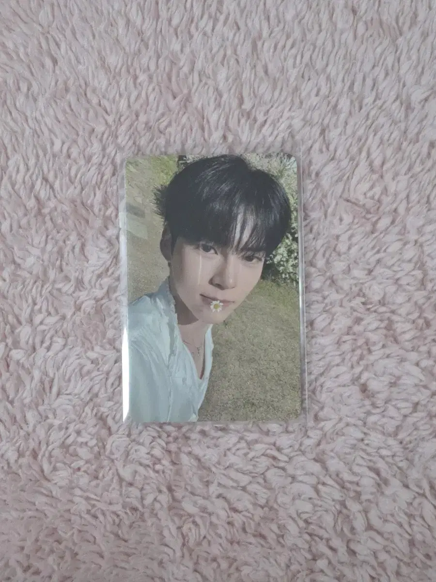 Sung Hanbin 1집 YOUTH IN THE SHADE album photocard WTS