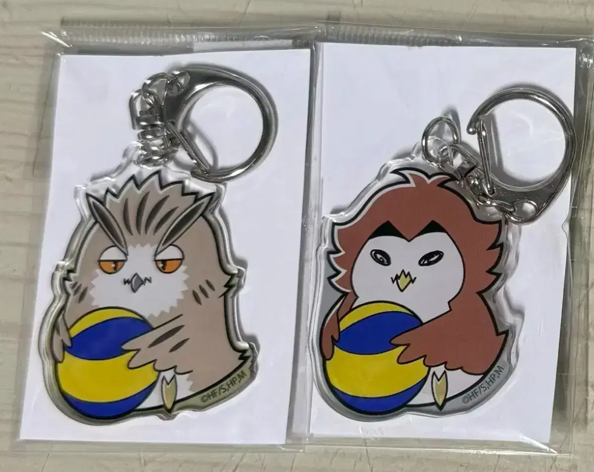 Haikyuu Mascot Animal Bokuto Akaashi acrylic keyring bulk WTS