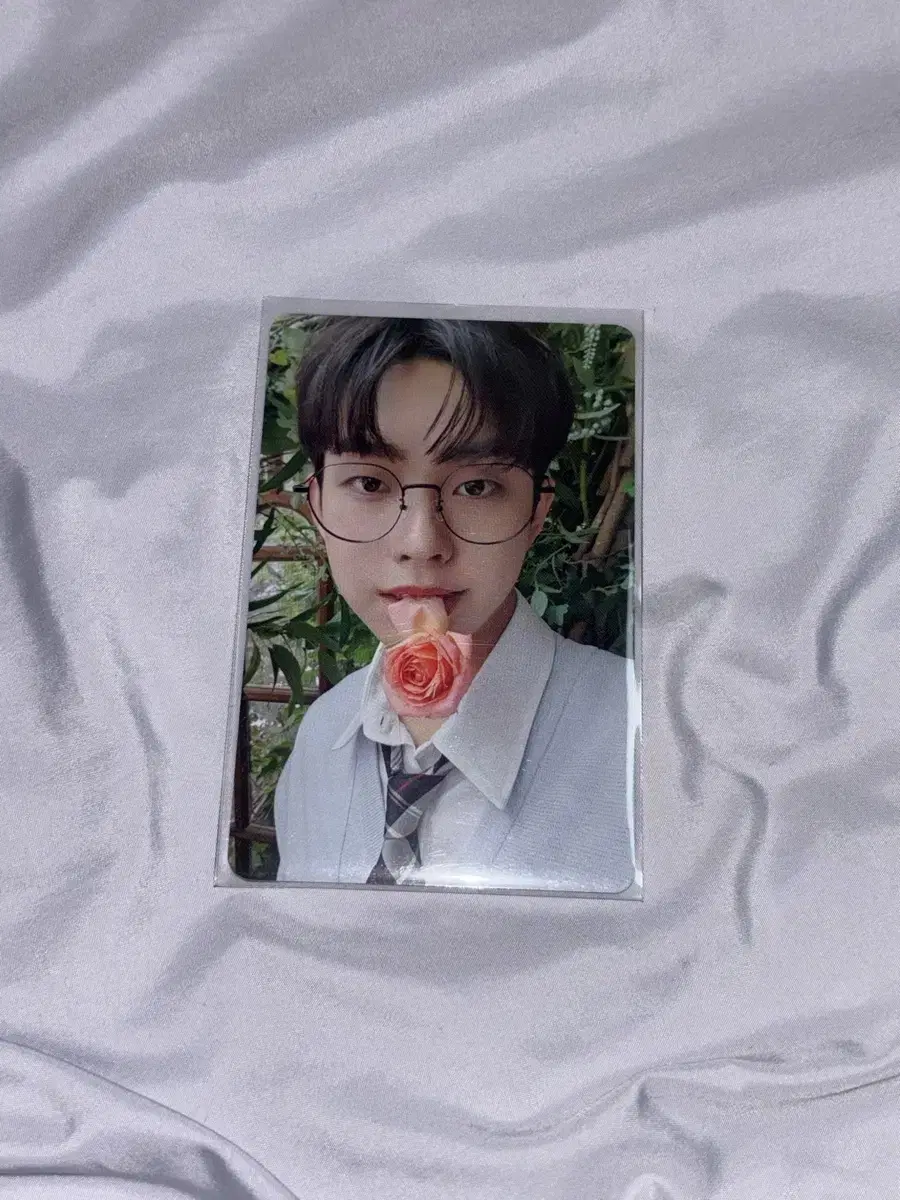 Lucy choi sangyeop floral top row album photocard photocard alpo