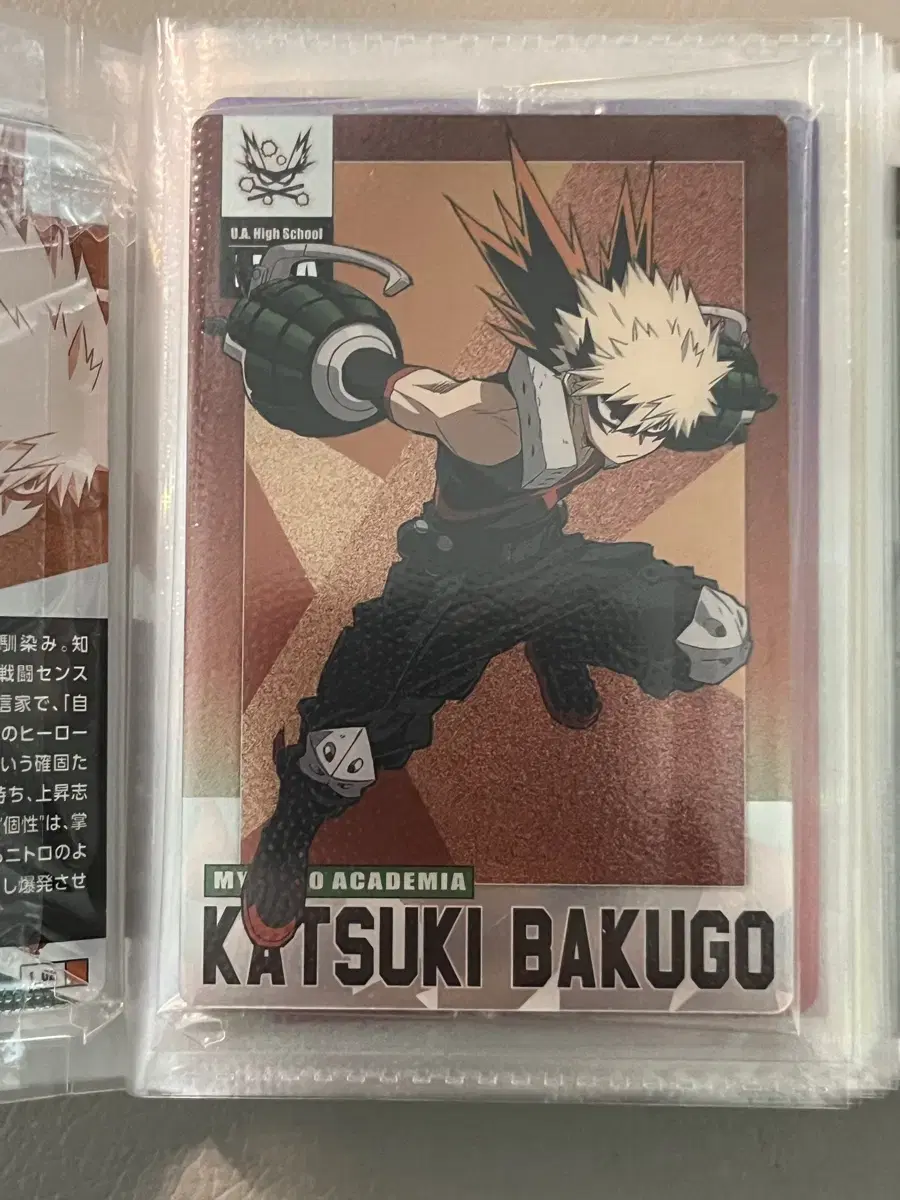 Hiroaka Bakugo Katsuki Metal Card