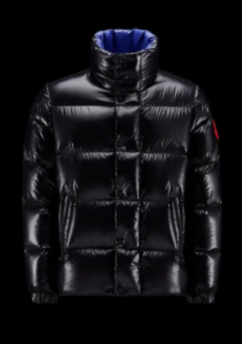 Moncler/Moncler Genius Devox padded size 2