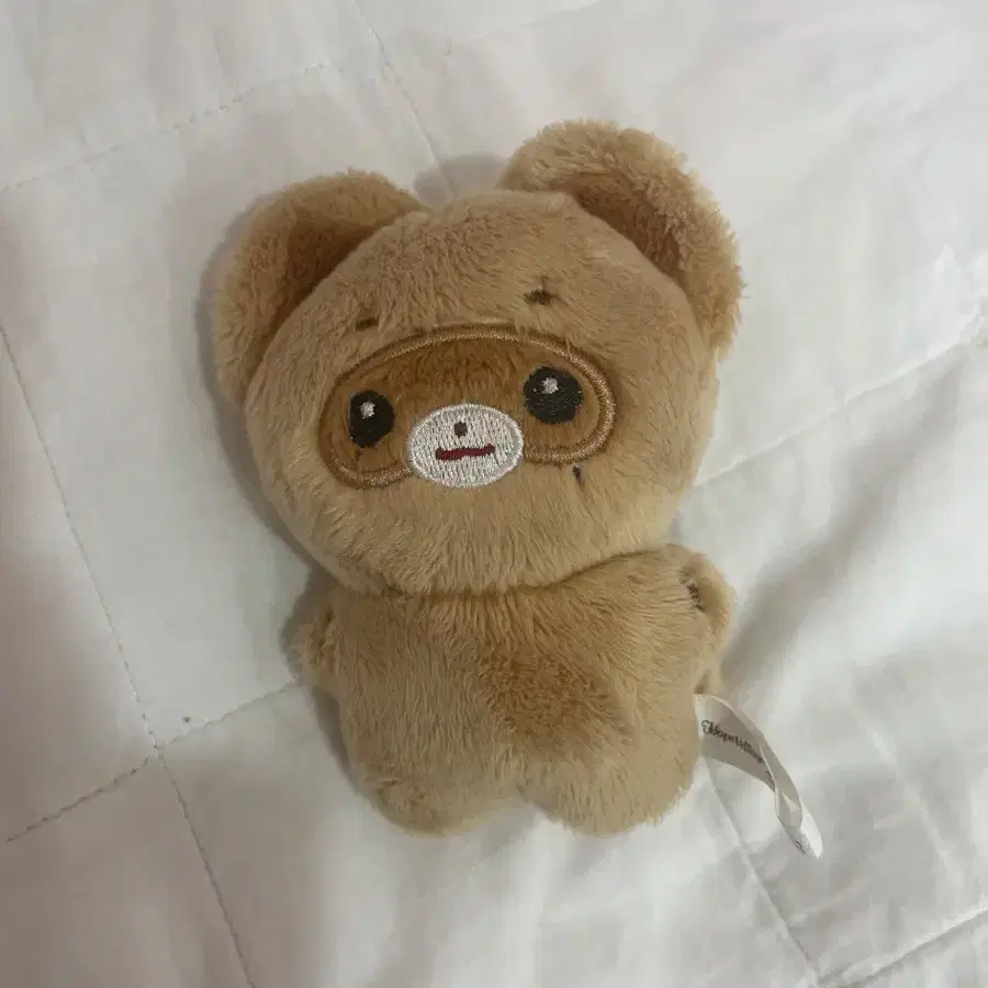 장하오 인형 짱뽀