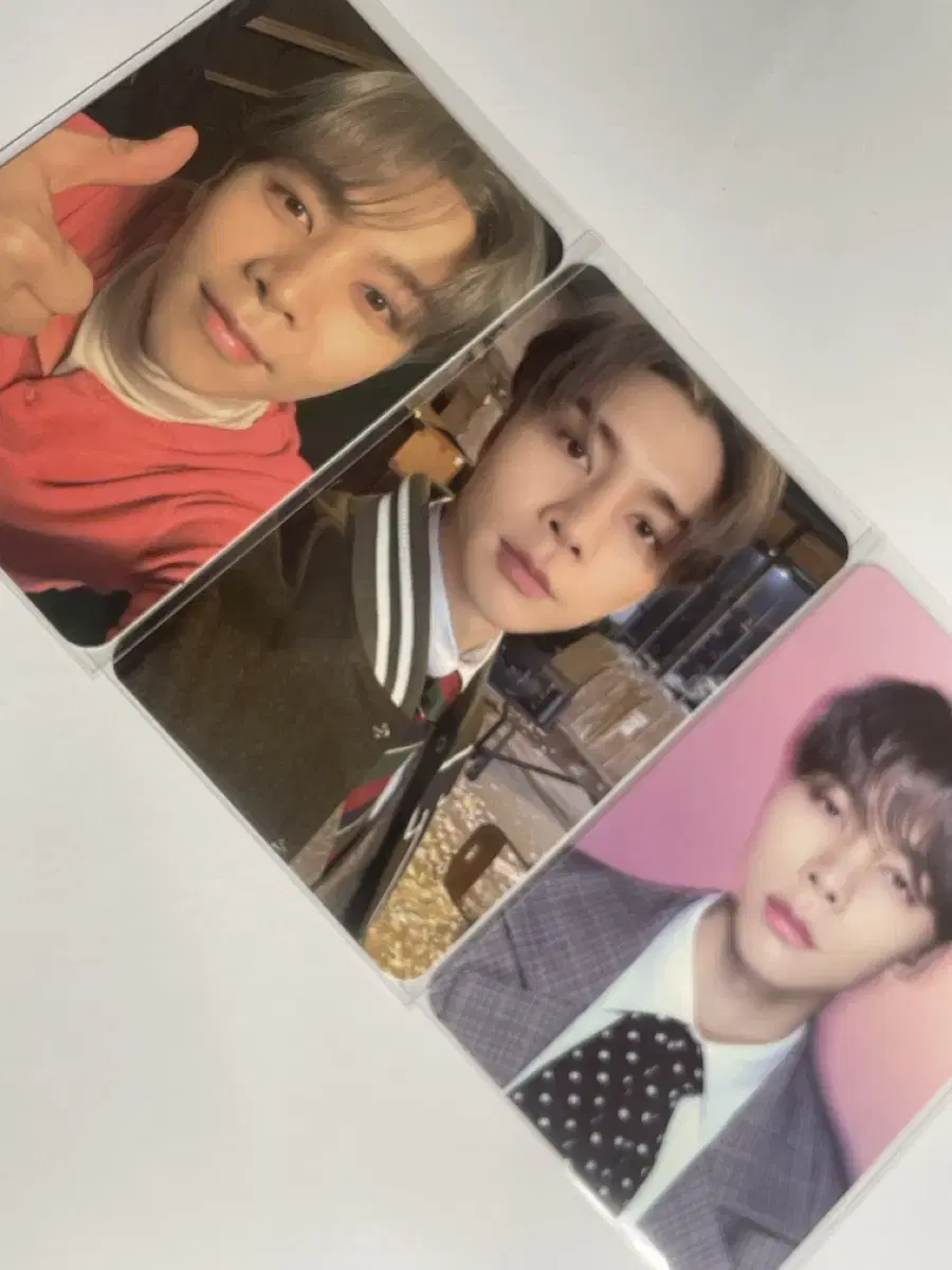 NCT 127 Videlfolmi tc Alpo johnny in bulk