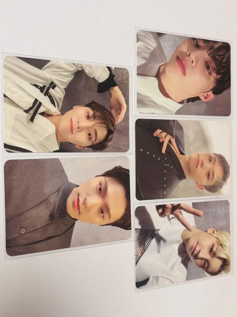 Seventeen Feathersun Photocard