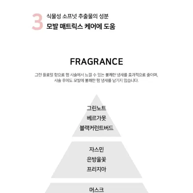 시세이도 디자인 인핸서400ml