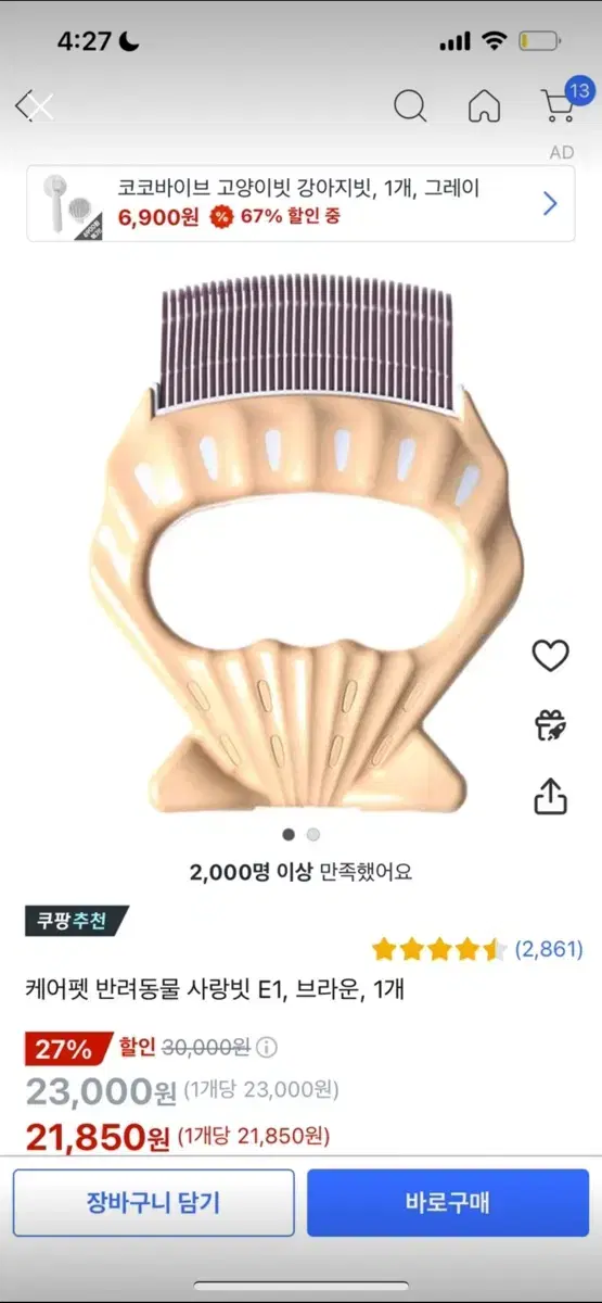 반려동물 사랑빗