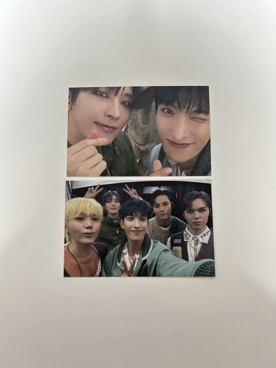 Seventeen Catcon photocard unofficial goods | wonwoo dk seungkwan mingyu vernon