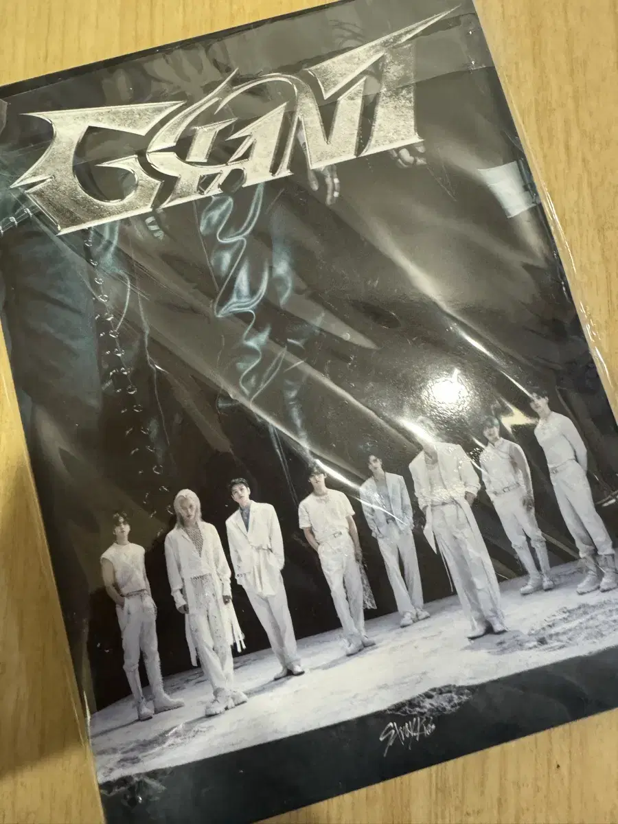 Skz straykids Japan Regular album Giant limited album B unsealed Album