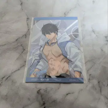 Free! FS DVD 애니메이트 구매 혜택 클리어 카드 5장 세트
