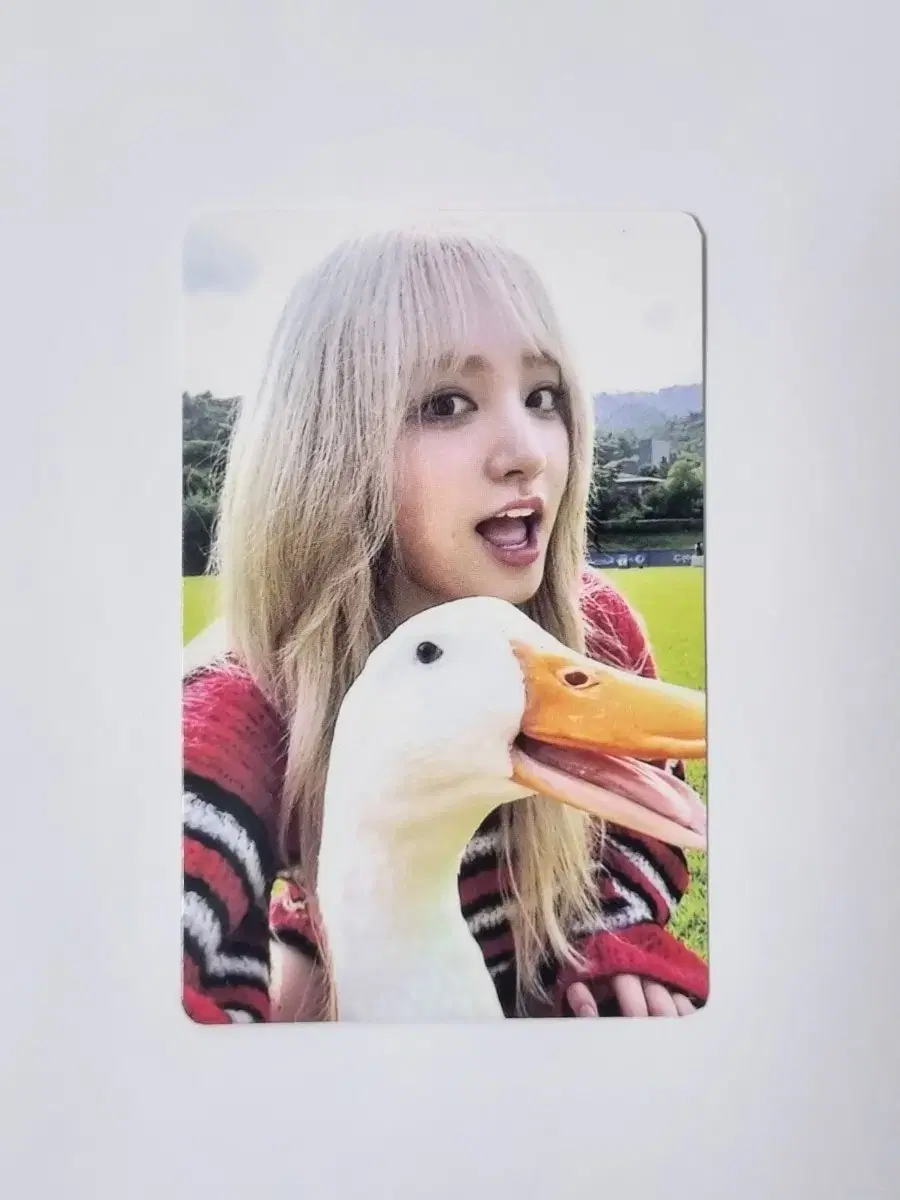 ive mine soundwave liz photocard wts