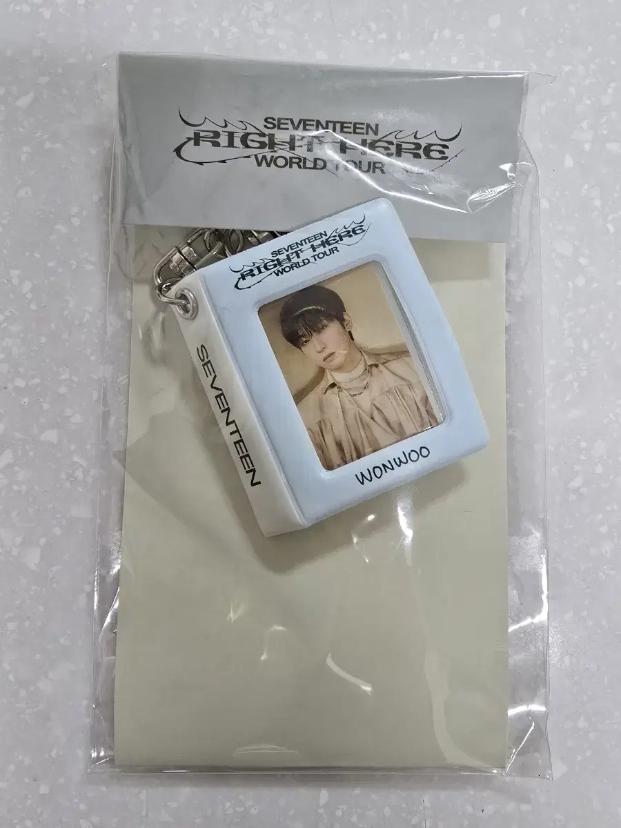 Wonwoo Catcon Mini collect book Keyring