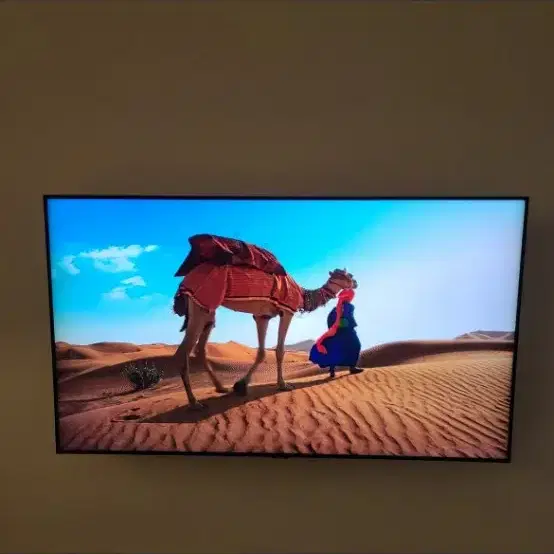 삼성 55인치 QLED TV