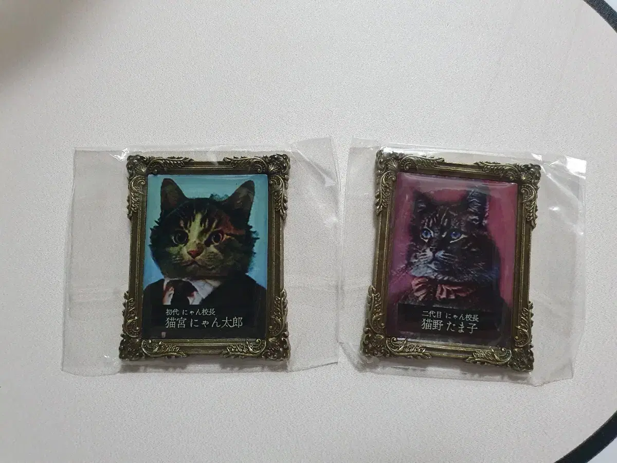 Cat Principal Magnet Gacha