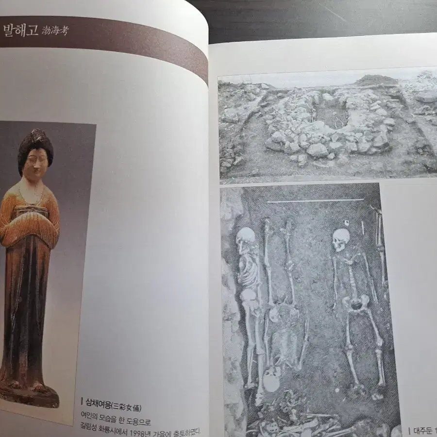 역사, 한국사) 유득공의 발해고