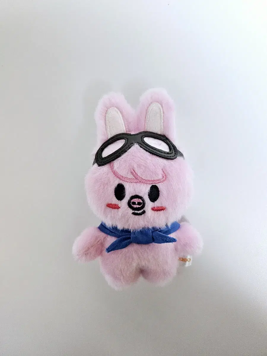 Straykids changbin Pilot Minipigs