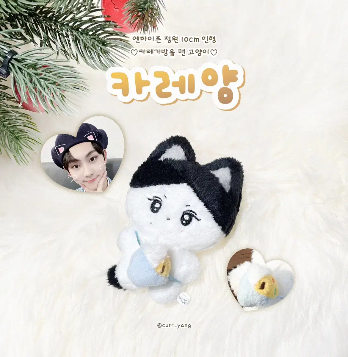 Enhypen jungwon doll Curry Yang unsealed