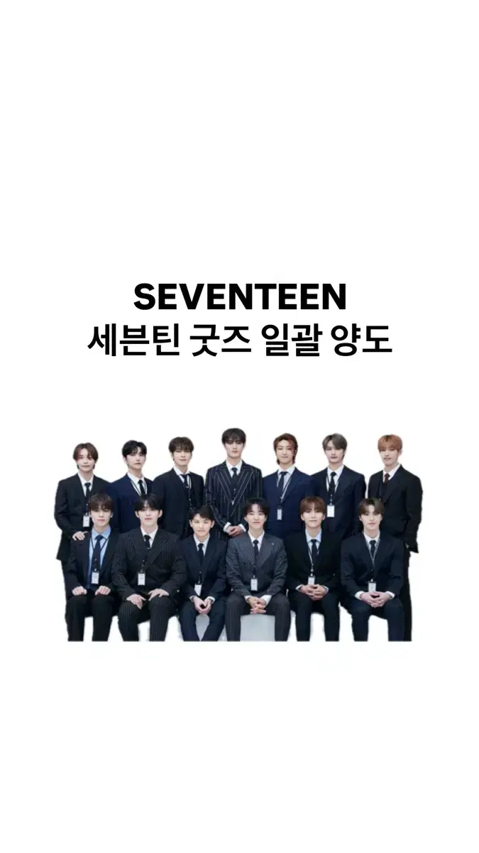 세븐틴 굿즈 일괄 양도