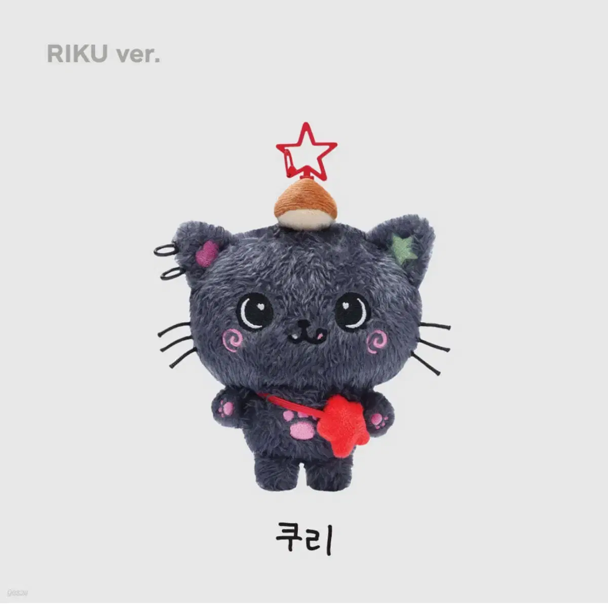 NCT wish riku Kuri Steady keyring pop up Merchandise