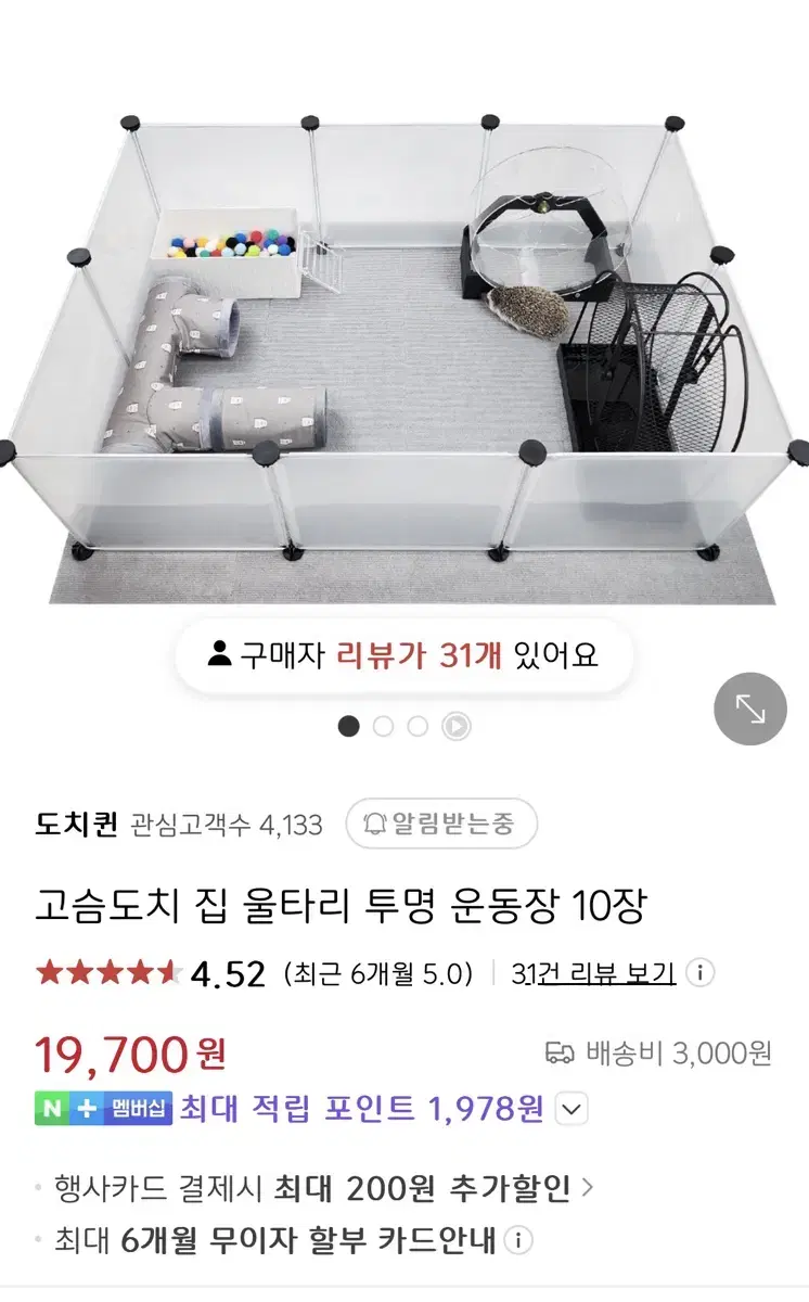 고슴도치 반려동물 햄스터 운동장 울타리