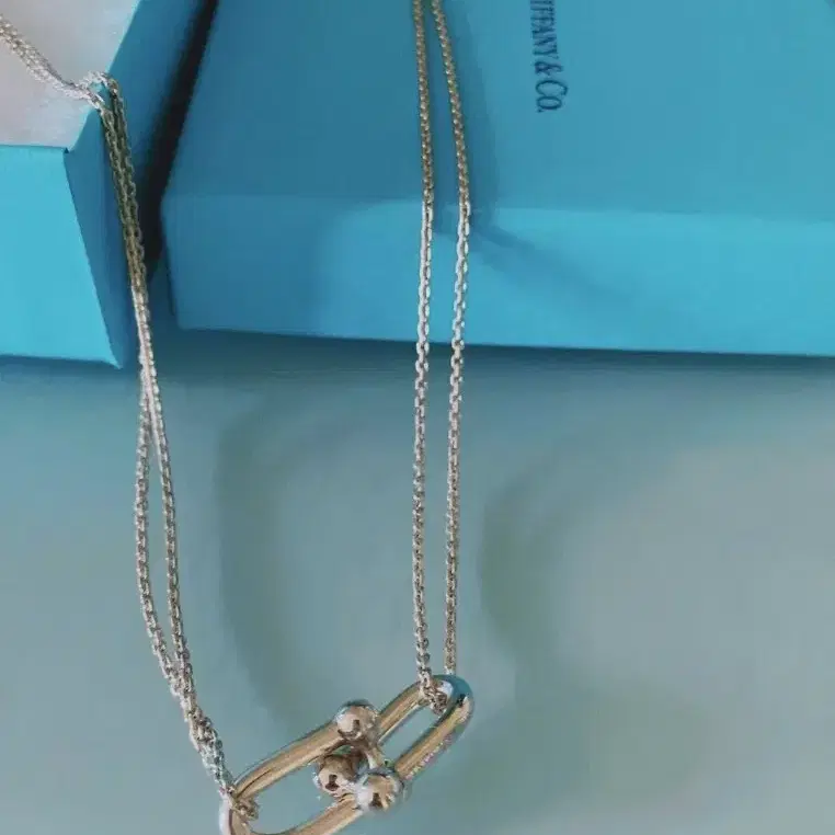 TIFFANY & CO.HardWear 더블 체인 링 925 실버 목걸이