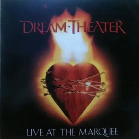 Dream theater lp 2장