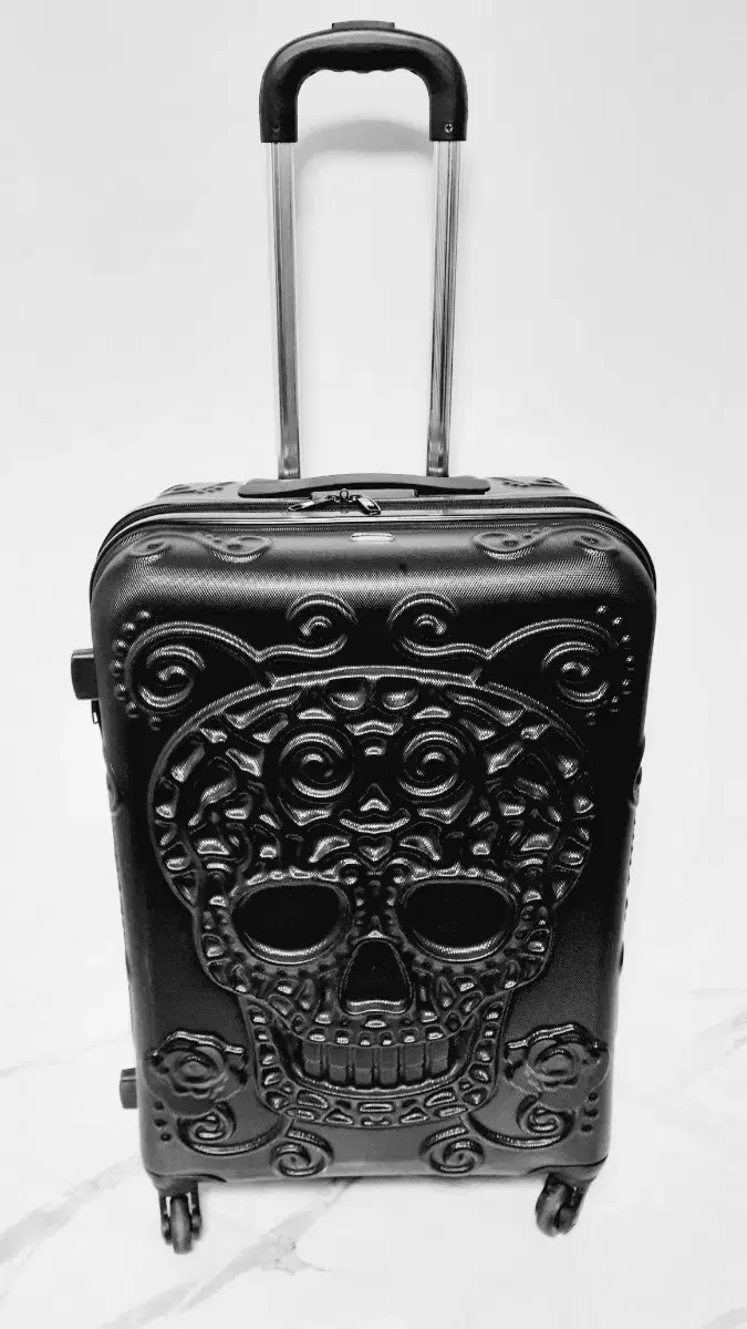 it. LUGGAGE 스컬 여행용 캐리어 가방